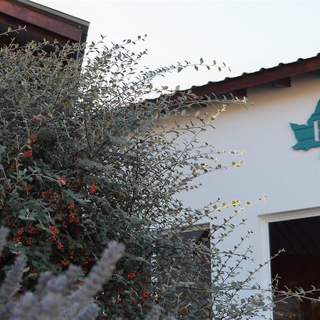 Edenia Hotel & Nature إل كالافاتي المظهر الخارجي الصورة